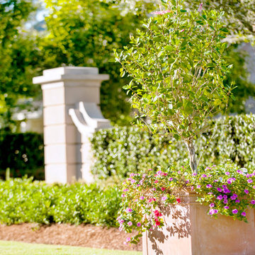 Louisiana Landscape Design