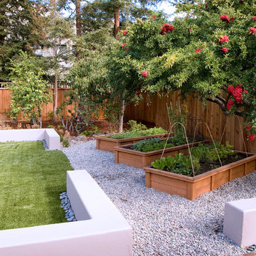 Palo Alto Modern Eichler Backyard