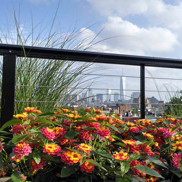 January 2015 - Photo Contest Honorable Mention