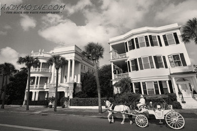 Horse Drawn Carriage Bay Street - Charleston - South Carolina