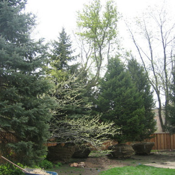 Backyard Retreat