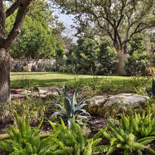 yard - oak beds