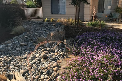 This is an example of a mid-sized southwestern drought-tolerant and full sun front yard landscaping in Other for spring.