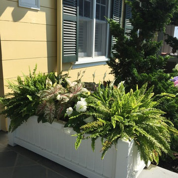 Planters & WIndow Boxes