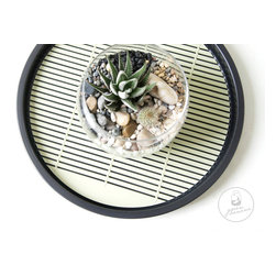 Terrarium in shapes - Products