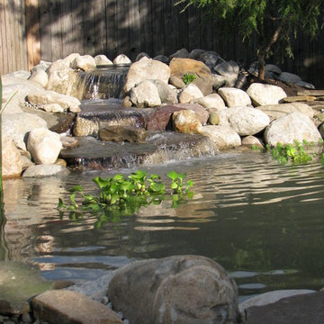 Casella Pond Renovation