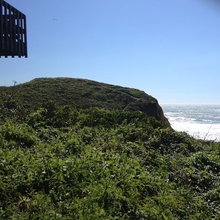 Seal Cove Beach House