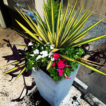 Atlantic Beach Pots