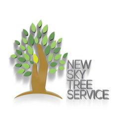 New Sky