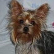 Shelia Higgins's photo