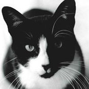 Jacqui Vierlinck's photo