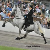 Kelly Peevy's photo
