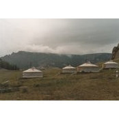 Ann Alger's photo