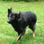 Nina Wolf's photo