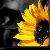 Foto von Claudia Standke