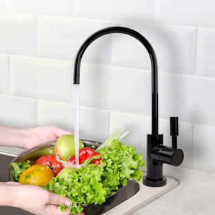 Kangen Water Faucet | Houzz