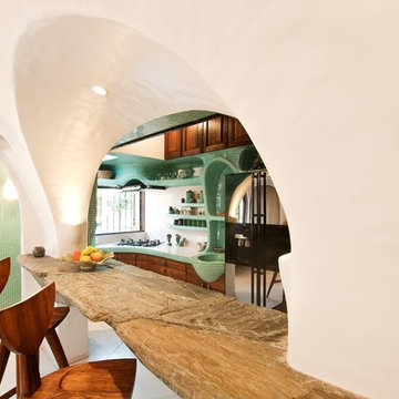 The Organic House