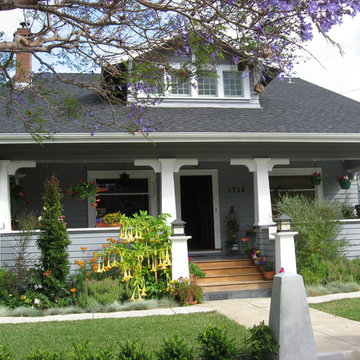 Dart House Restoration