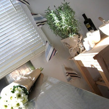 plants
