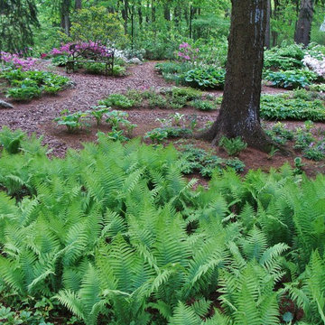 Woodland Gardens