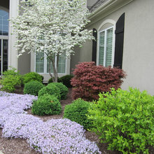 Front landscape