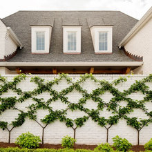 Garden ideas