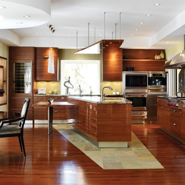Contemporary Kitchens