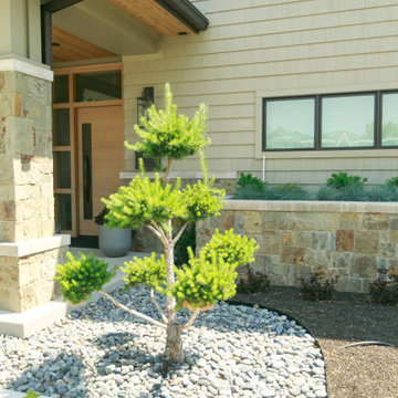 Unique Modern Tree For Front Yard