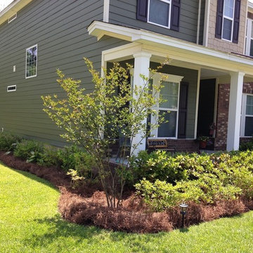 Long needle pine straw installation