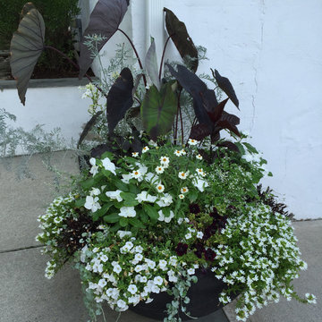 Fabulous Container Gardens