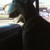 Alexis Rhombus's photo