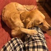 Photo de Vikki Dore