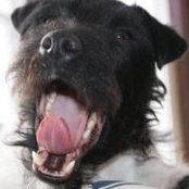 Melissa Baggenstoss's photo