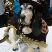 Foto von Sharon Wilder