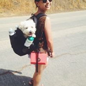 Beverly Tam's photo