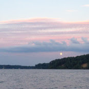 Alison McKelvie's photo