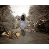 Han Dang's photo