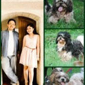 Roni Saddi's photo