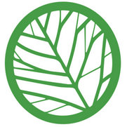 Photo de STYL'O vert concepteurs paysagiste