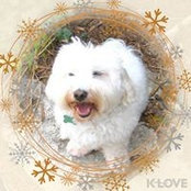 Barbara Cook's photo