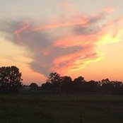 Jason Tilley's photo