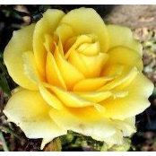 Joanne Clark's photo