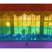 Fran Riesmeyer Mazur's photo