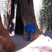 Sara Cutler's photo