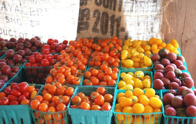 California Gardener’s August Checklist