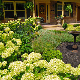 Réalisation d'un jardin à la française avant tradition de taille moyenne et l'été avec une entrée ou une allée de jardin, une exposition partiellement ombragée et un paillis.