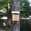 Bird House With Slotted Entry, Natural
