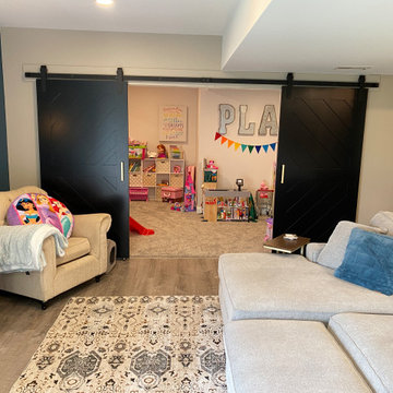 Basement Remodel