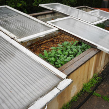 Gardening ideas