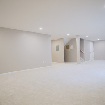 Basement Great Room
